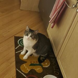 Meet your Posher, Ra